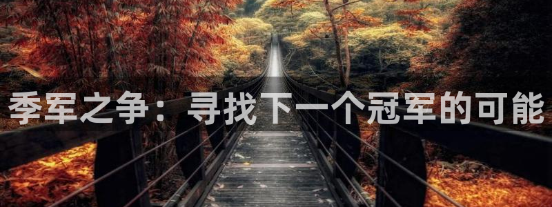 欧洲世界杯预选赛赛程:季军之争:寻找下一个冠军的可能