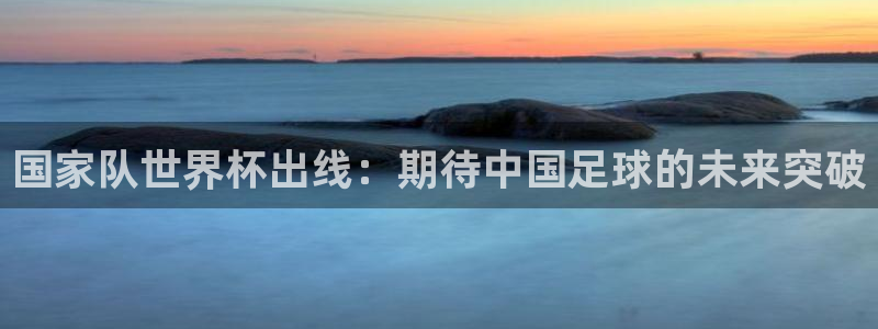 世界杯足球比赛:国家队世界杯出线:期待中国足球的未来突破