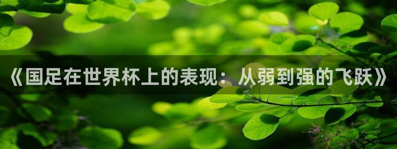 世界杯决赛预测:《国足在世界杯上的表现:从弱到强的飞跃》