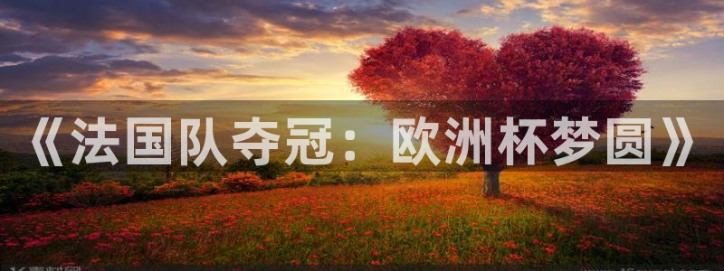 世界杯预选赛欧洲区赛程:《法国队夺冠:欧洲杯梦圆》